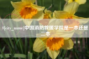 嘉峪关中国消防救援学院是一本还是二本