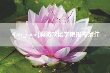 嘉峪关消防救援学院报考条件