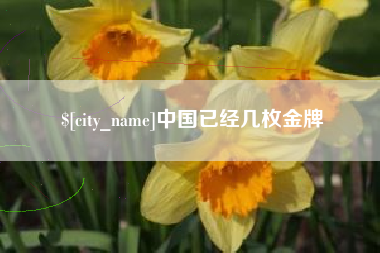 嘉峪关中国已经几枚金牌