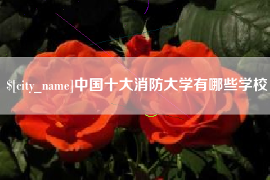 嘉峪关中国十大消防大学有哪些学校