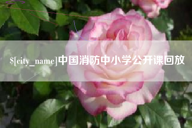 嘉峪关中国消防中小学公开课回放