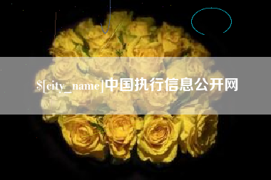 嘉峪关中国执行信息公开网