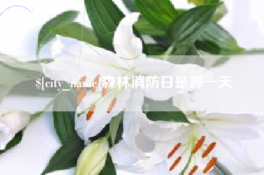 嘉峪关森林消防日是哪一天