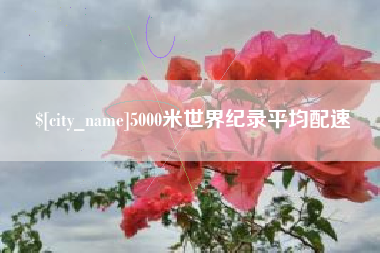 嘉峪关5000米世界纪录平均配速
