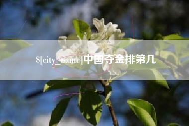 嘉峪关中国夺金排第几
