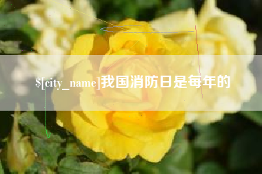 嘉峪关我国消防日是每年的