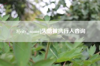 嘉峪关失信被执行人杳询