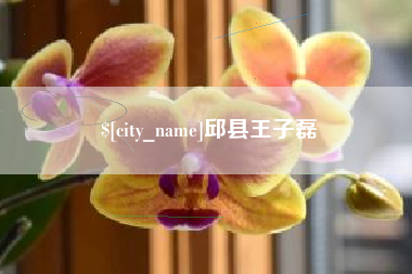 嘉峪关邱县王子磊
