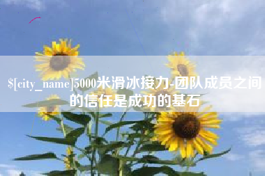 嘉峪关5000米滑冰接力-团队成员之间的信任是成功的基石