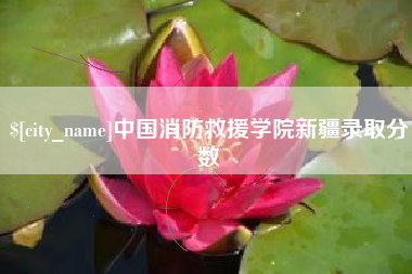 嘉峪关中国消防救援学院新疆录取分数