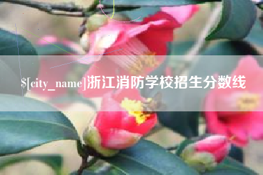 嘉峪关浙江消防学校招生分数线