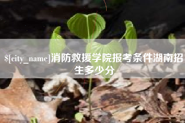 嘉峪关消防救援学院报考条件湖南招生多少分