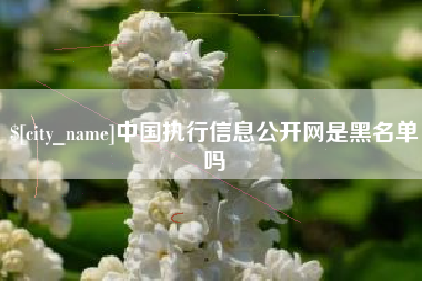 嘉峪关中国执行信息公开网是黑名单吗