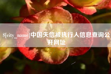 嘉峪关中国失信被执行人信息查询公开网址