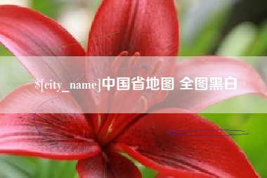嘉峪关中国省地图 全图黑白