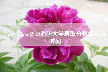 嘉峪关2024消防大学录取分数线公布时间