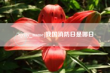 嘉峪关我国消防日是哪日