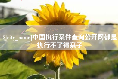 嘉峪关中国执行案件查询公开网都是执行不了得案子