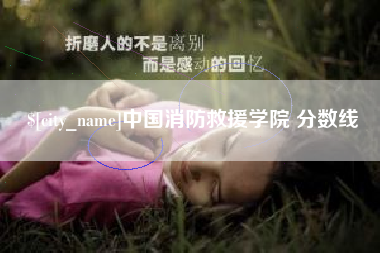 嘉峪关中国消防救援学院 分数线
