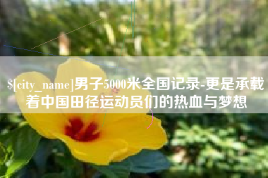 嘉峪关男子5000米全国记录-更是承载着中国田径运动员们的热血与梦想