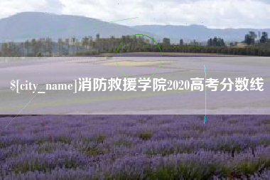 嘉峪关消防救援学院2020高考分数线