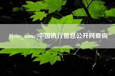 嘉峪关中国执行信息公开网查询