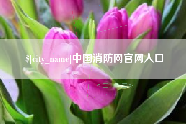 嘉峪关中国消防网官网入口