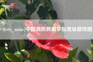 嘉峪关中国消防救援学院地址路线图