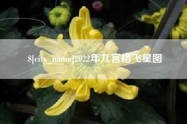 嘉峪关2022年九宫格飞星图