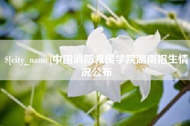 嘉峪关中国消防救援学院湖南招生情况公布