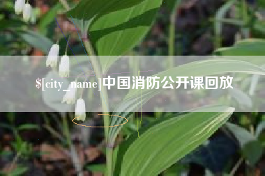 嘉峪关中国消防公开课回放
