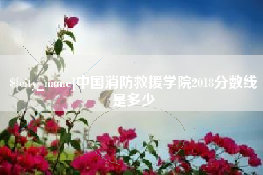 嘉峪关中国消防救援学院2018分数线是多少