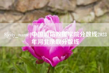 嘉峪关中国消防救援学院分数线2023年河北录取分数线