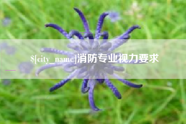 嘉峪关消防专业视力要求