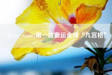 嘉峪关第一波奥运金牌“九宫格”