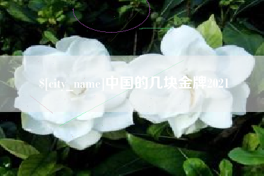 嘉峪关中国的几块金牌2021