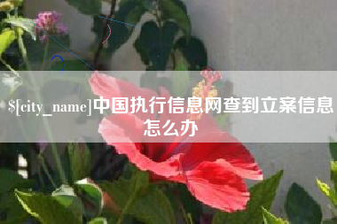 嘉峪关中国执行信息网查到立案信息怎么办