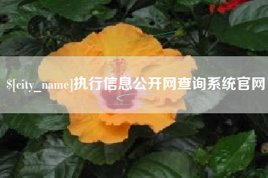 嘉峪关执行信息公开网查询系统官网