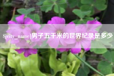 嘉峪关男子五千米的世界纪录是多少