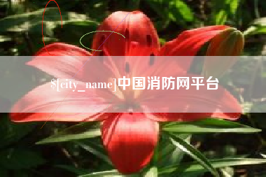 嘉峪关中国消防网平台