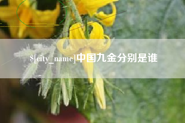 嘉峪关中国九金分别是谁