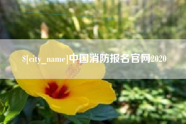 嘉峪关中国消防报名官网2020