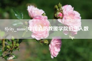嘉峪关中国消防救援学院招生人数