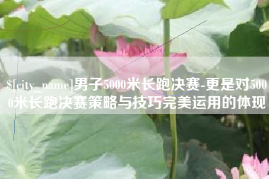 嘉峪关男子5000米长跑决赛-更是对5000米长跑决赛策略与技巧完美运用的体现