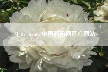 嘉峪关中国消防网官方网站