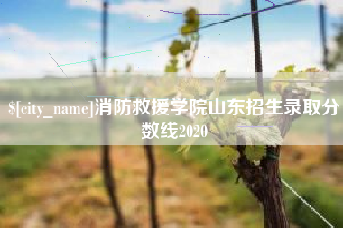 嘉峪关消防救援学院山东招生录取分数线2020
