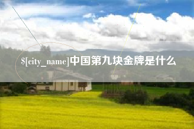 嘉峪关中国第九块金牌是什么