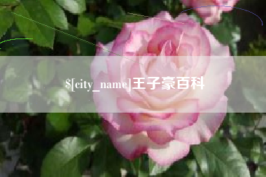 嘉峪关王子豪百科