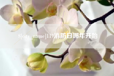 嘉峪关119消防日哪年开始