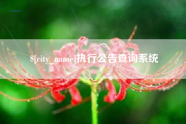 嘉峪关执行公告查询系统